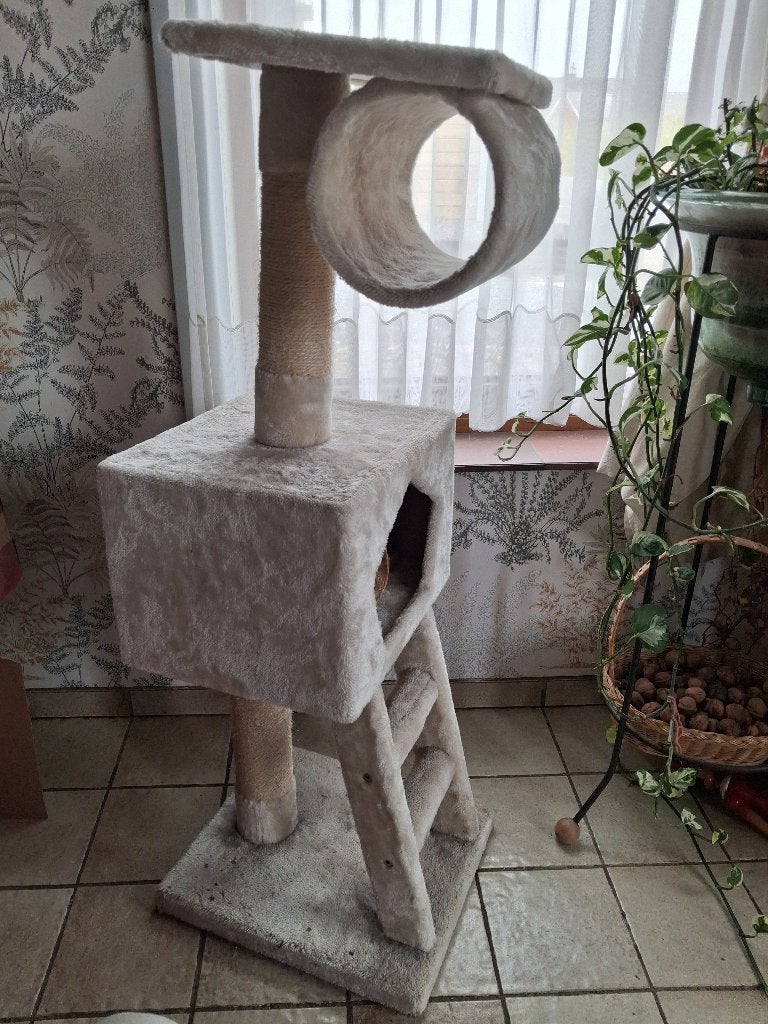 Arbre a chat blanc, Enlèvement, Neuf