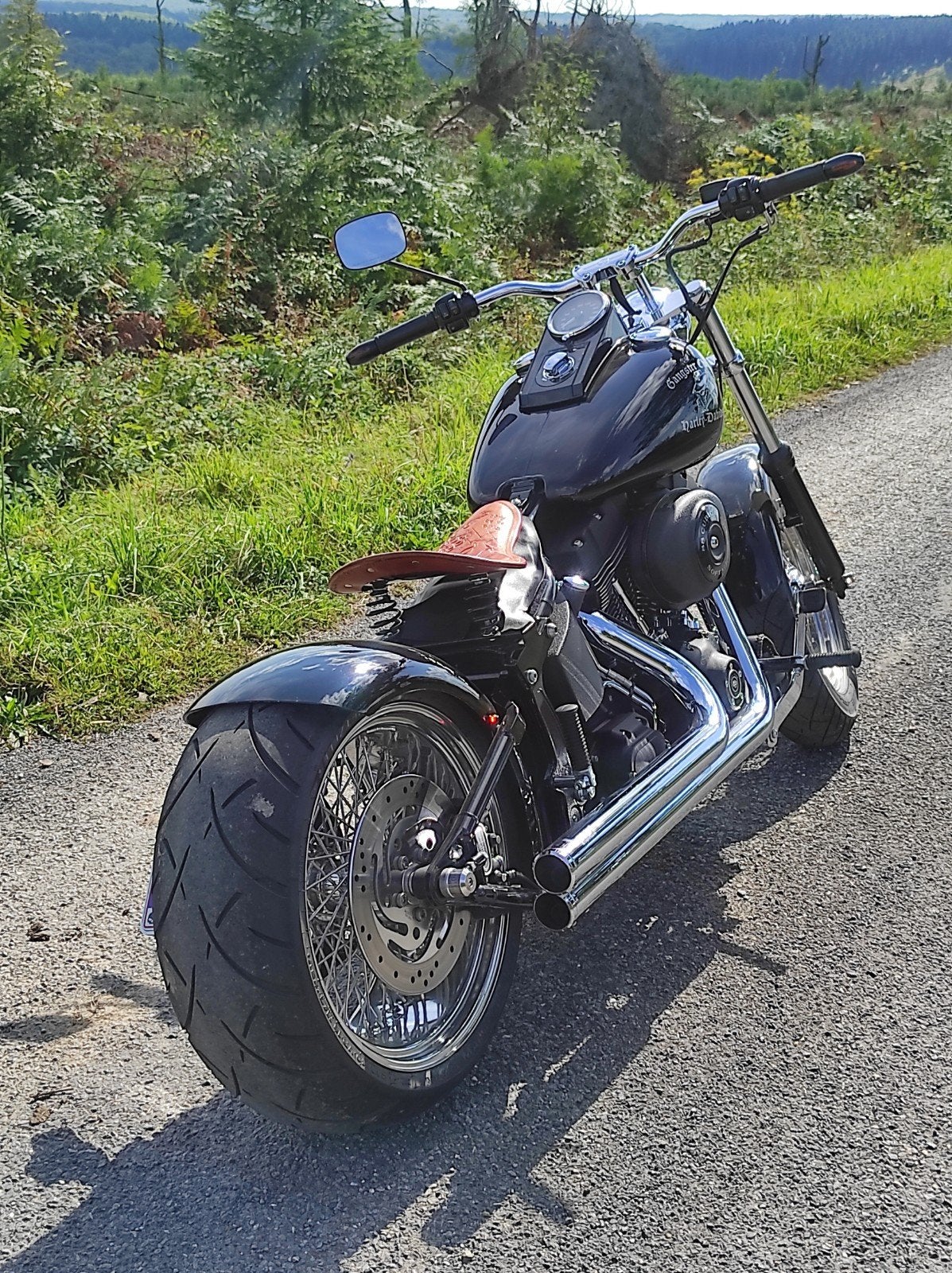 Harley-Davidson Softail Nightrain, Particulier