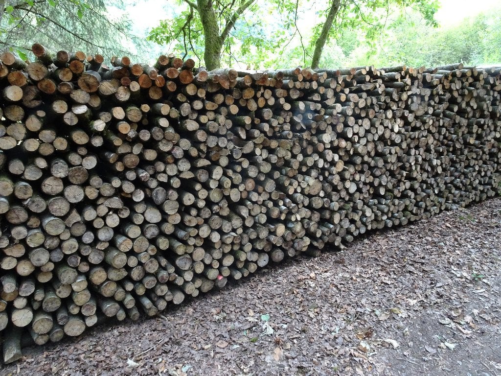 Rondins de hêtre à vendre, Enlèvement, Hêtre