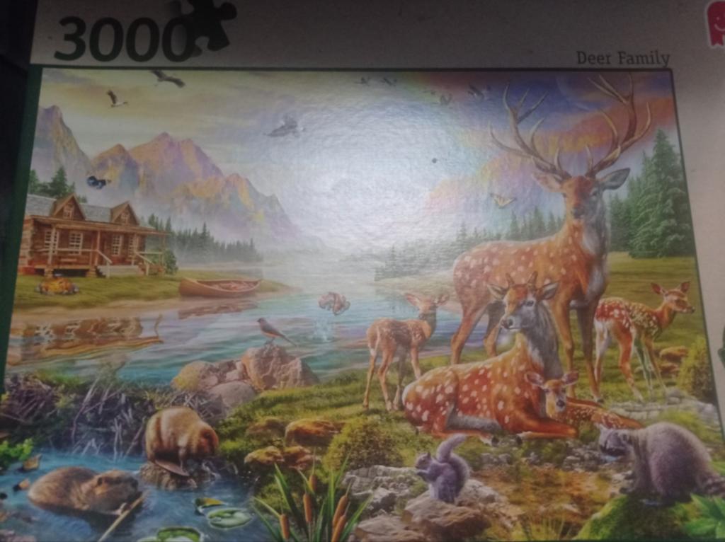 Puzzel 3000 stukjes, Hobby en Vrije tijd, Denksport en Puzzels, Ophalen of Verzenden, Meer dan 1500 stukjes, Zo goed als nieuw