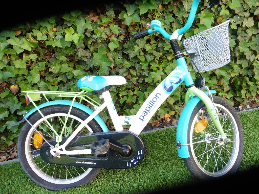 Zeer mooi meisjesfietsje 16inch, Ophalen, Velgrem, Papillon, 16 inch