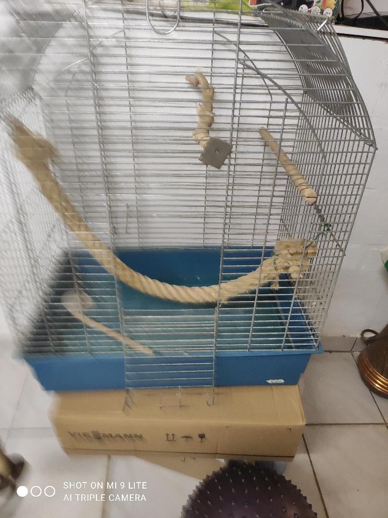 degelijke vogelkooi, Enlèvement, Cage à oiseaux