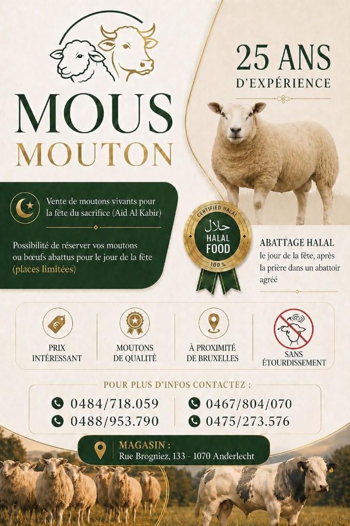 VENTE MOUTON BOEUF AÏD 2026, Dieren en Toebehoren, Mannelijk, Schaap, 0 tot 2 jaar