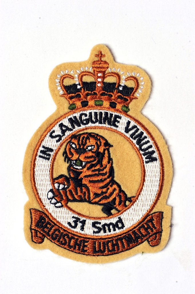31 Sqn - Crest patch (3), Collections, Envoi, Armée de l'air, Emblème ou Badge