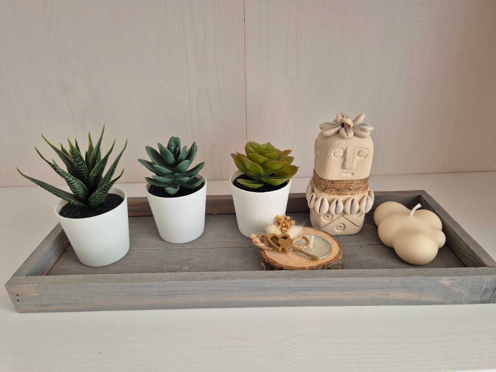 Plantes décoratives et plateau, Jardin & Terrasse, Enlèvement