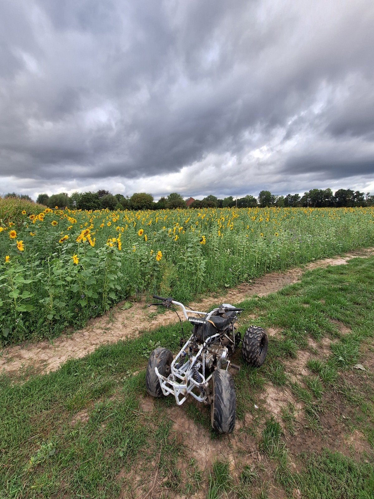 Quad 50 cc 4 t, Vélos & Vélomoteurs, Mini Bikes, Midi Bikes & Pit Bikes, Enlèvement, Utilisé, Autres types, Frein à disque