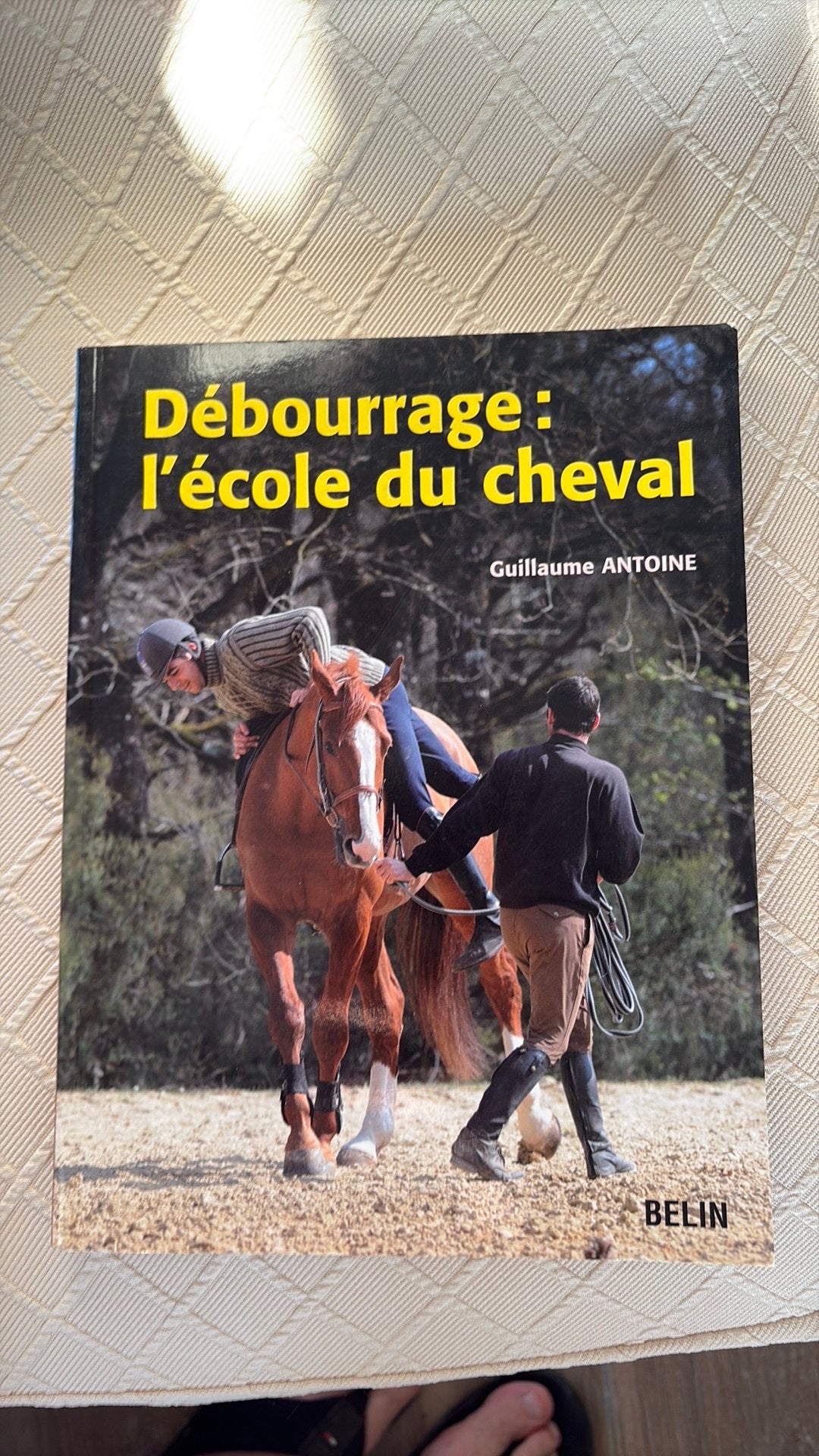 Débourrage : l’école du cheval, Enlèvement, Comme neuf