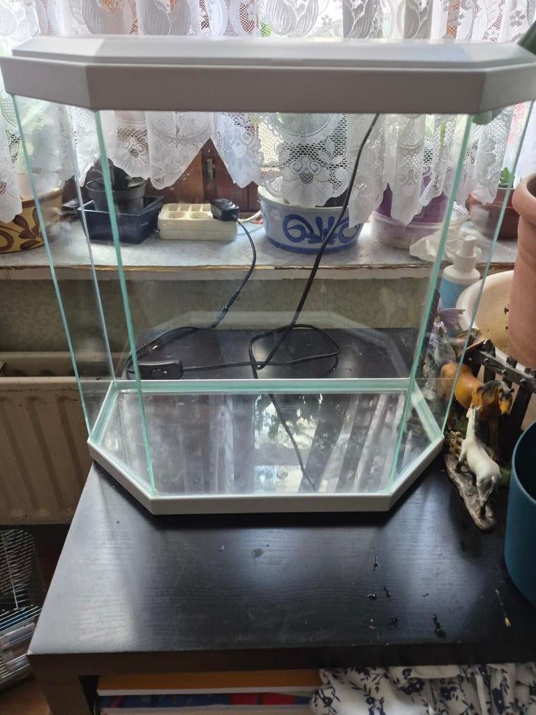 Aquarium, Enlèvement