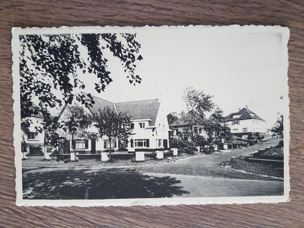 Postkaart Nieuwpoort Bastien pad, Enlèvement ou Envoi, 1940 à 1960, Affranchie, Flandre Occidentale