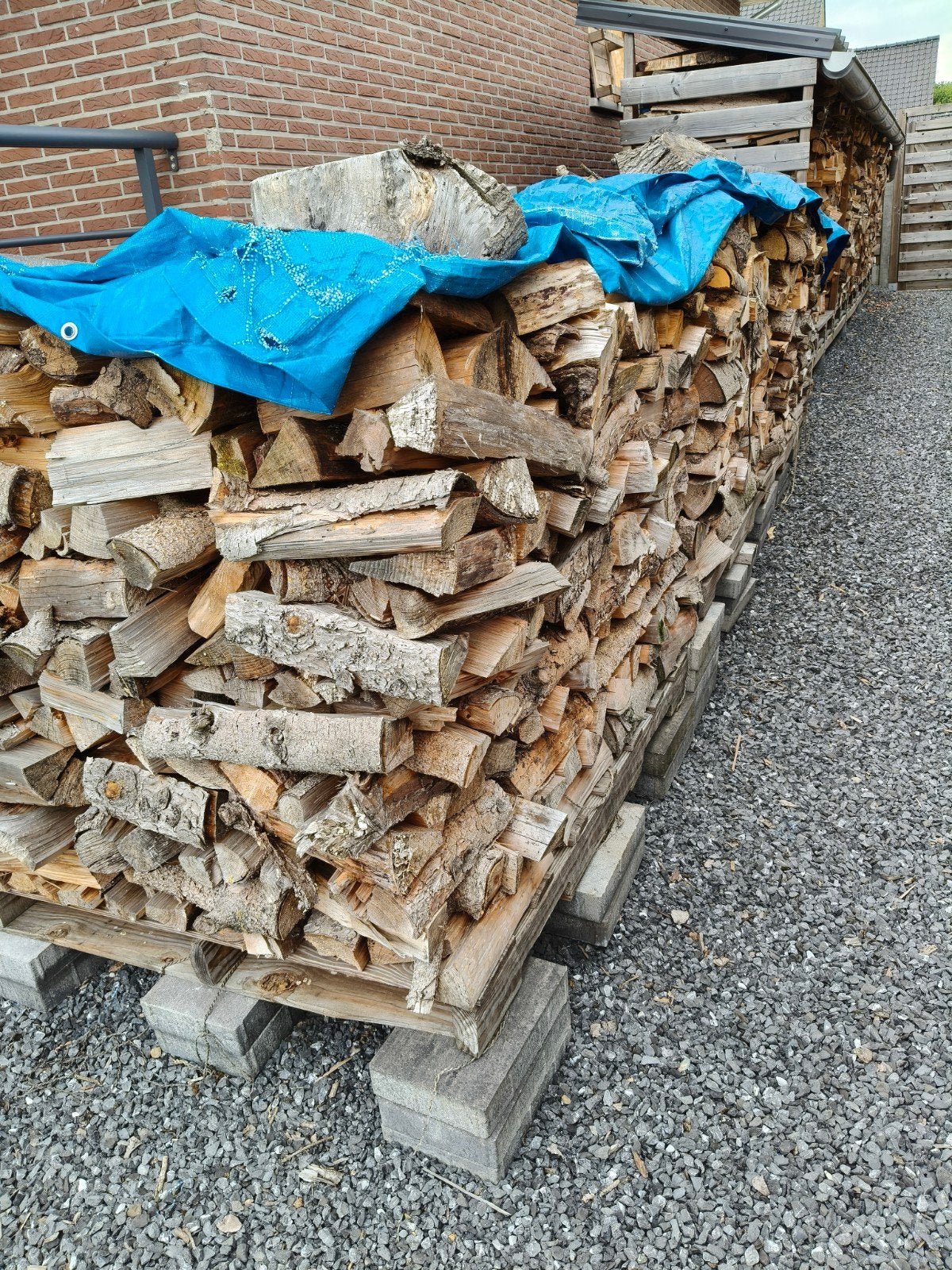 11 kuub gemengd brandhout, max. 30cm, gekliefd, droog, 6 m³ ou plus, Enlèvement, Autres essences de bois, Bûches