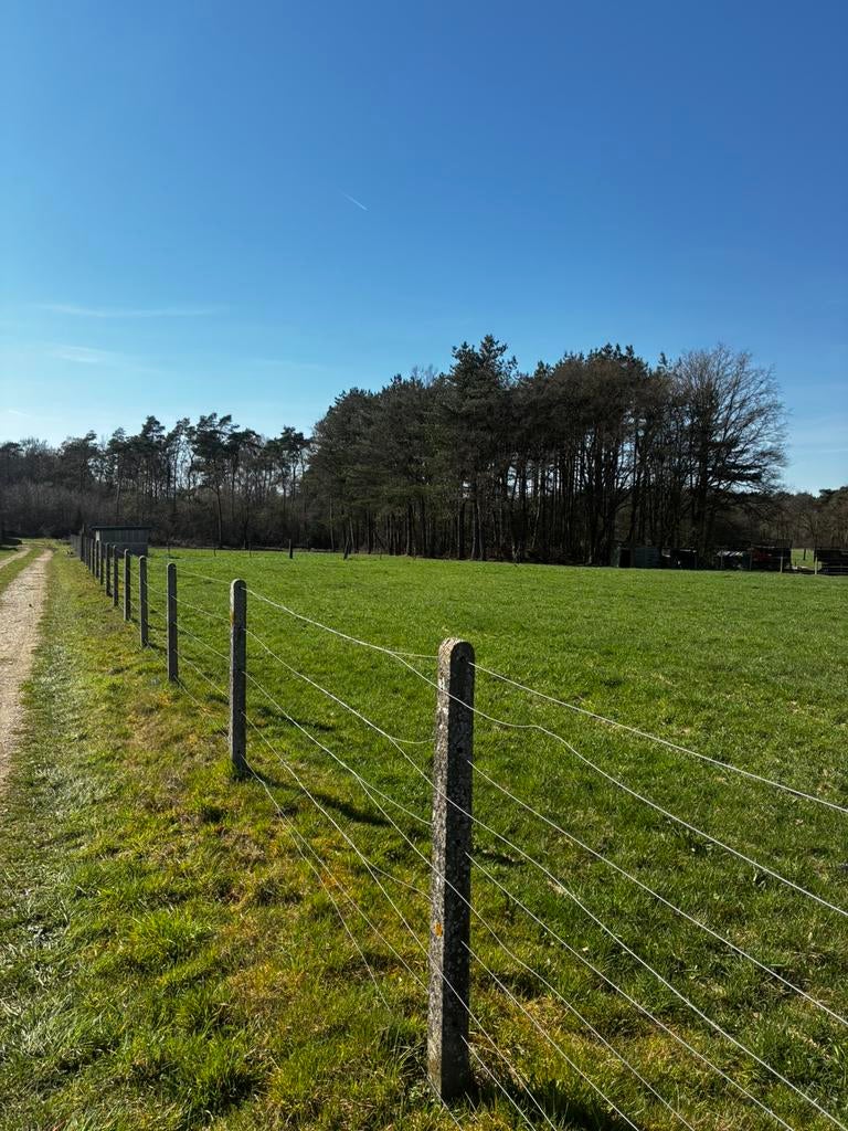 Lot betonnen palen +-250, Dieren en Toebehoren, Stalling en Weidegang