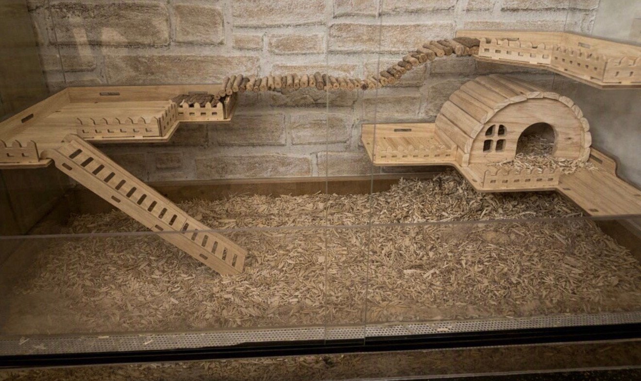Glazen gerbil / hamsterkooi, Enlèvement, Utilisé