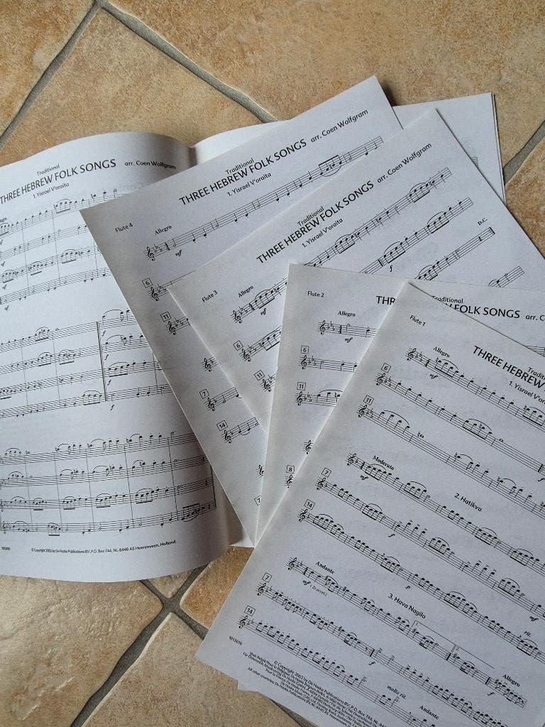 Bladmuziek 3 of meer fluiten/altblokfluiten 9 boeken, Blokfluit, Klassiek, Overige soorten, Ophalen of Verzenden