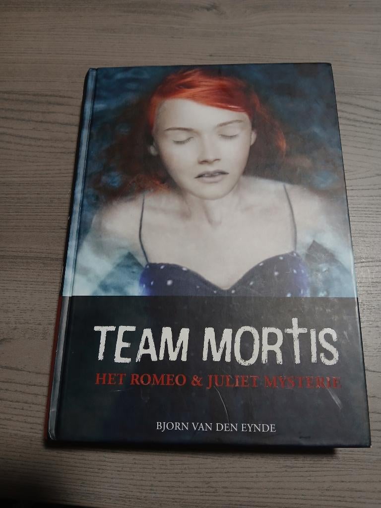 Team Mortis - Het Romeo & Juliet mysterie, Boeken, Ophalen of Verzenden, Zo goed als nieuw, Fictie, Bjorn van den Eynde