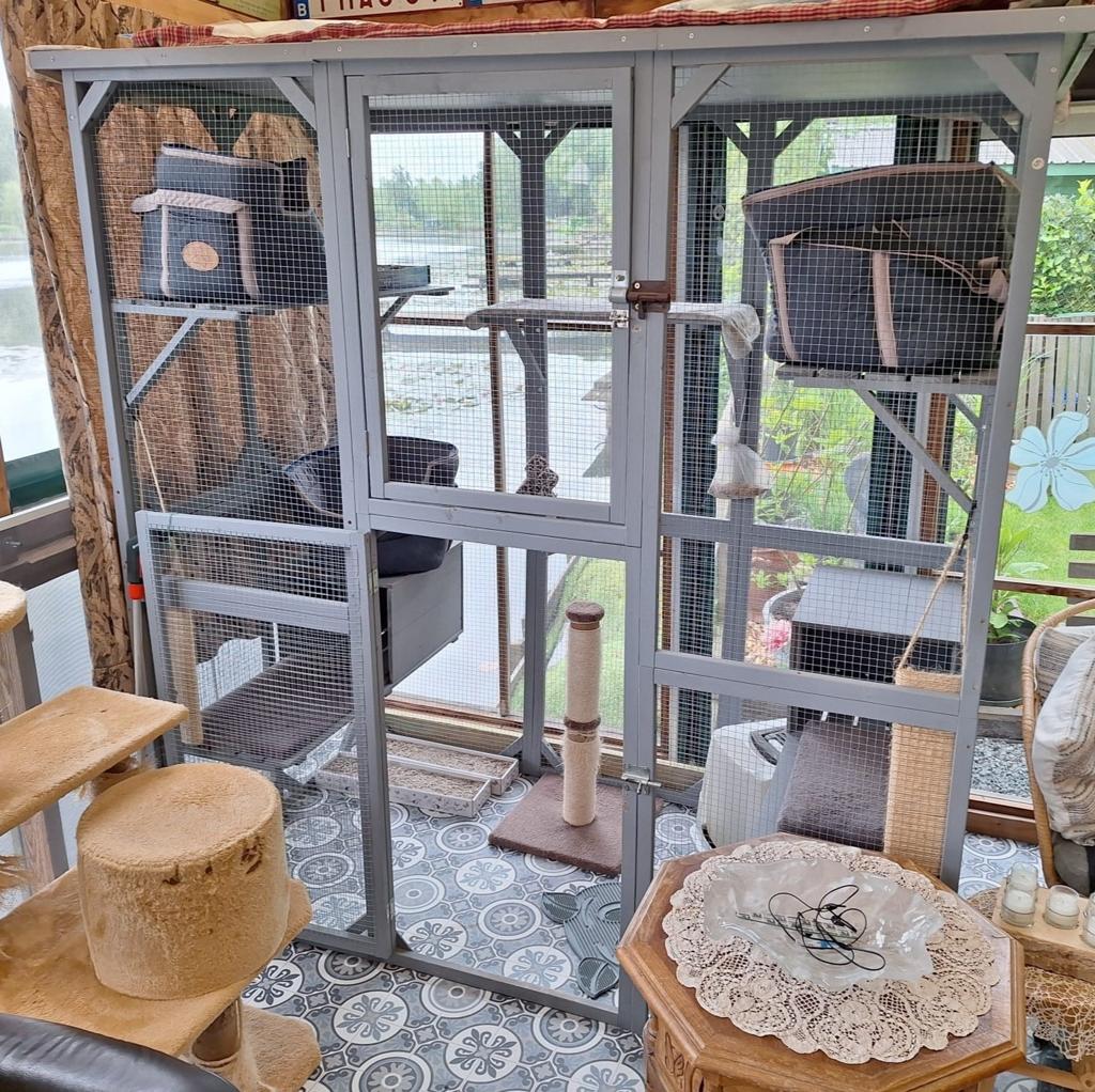 Kattenren voor binnenshuis, Dieren en Toebehoren, Katten-accessoires, Ophalen