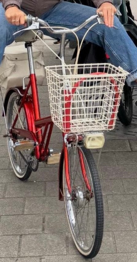 Vélo Raleigh Twenty, Enlèvement