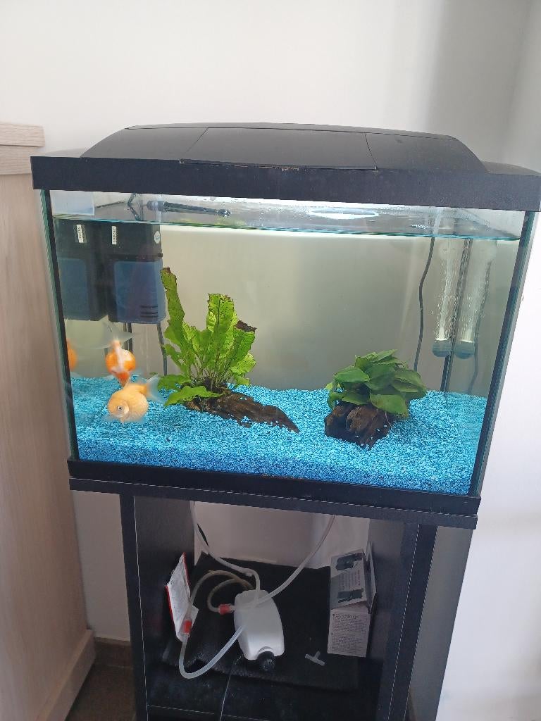 Prachtige Superfish 50L aquariumset+meubel - slechts 1j oud., Animaux & Accessoires, Poissons | Aquariums & Accessoires, Enlèvement