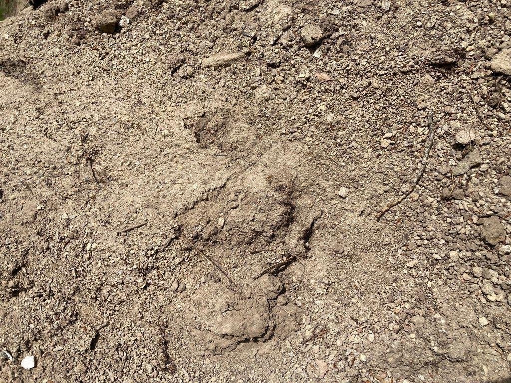 Zand, Tuin en Terras, Zand, Ophalen