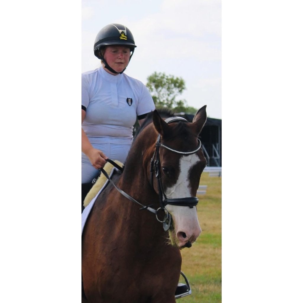 Veelzijdige ruin te koop, Dieren en Toebehoren, Paarden, Ruin, L, Minder dan 160 cm, 11 jaar of ouder, Recreatiepaard, Met stamboom