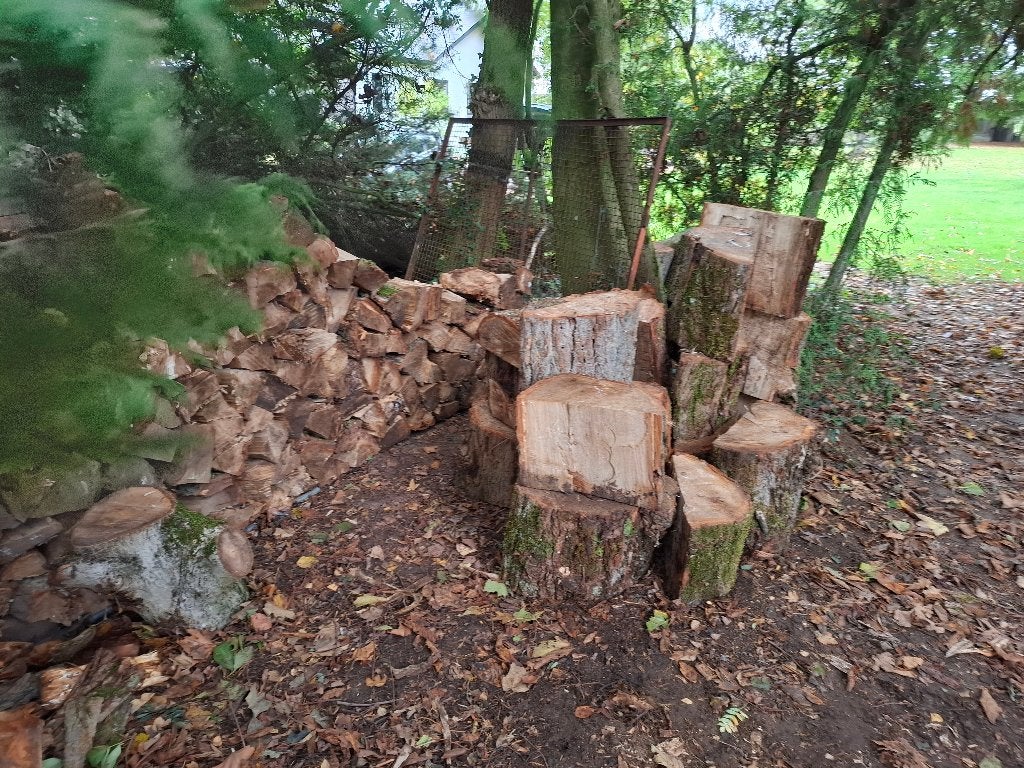 Bois de chauffage à Obaix, Jardin & Terrasse, 3 à 6 m³, Enlèvement, Autres essences de bois, Bûches