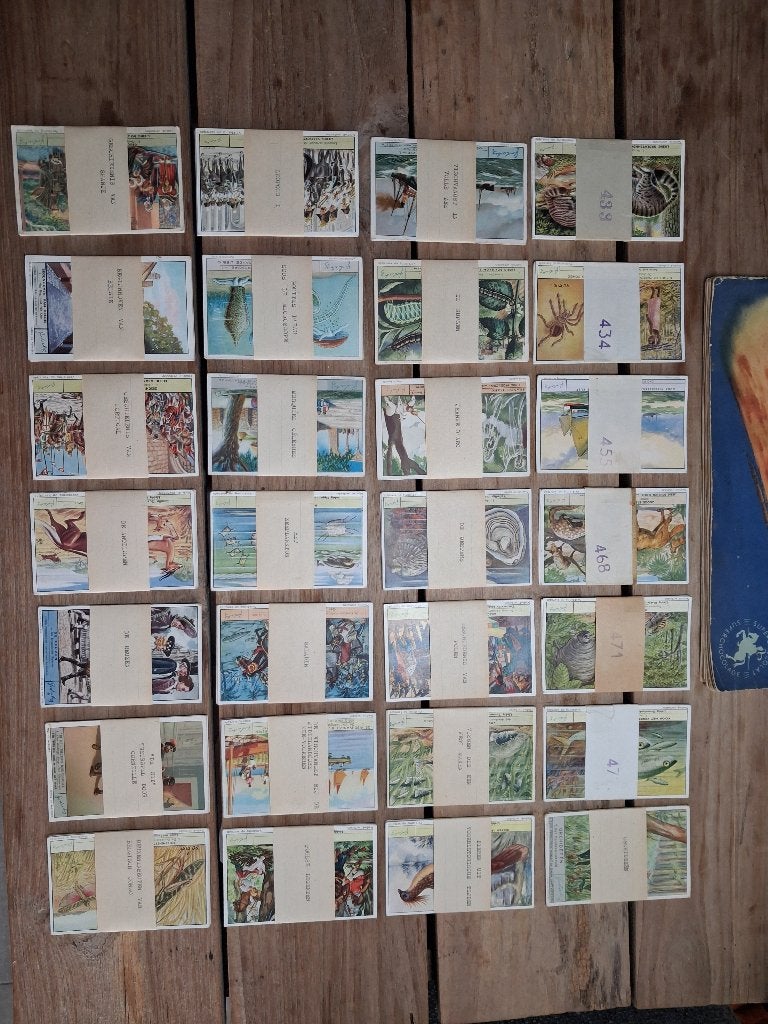 Chromos liebig kaarten, Ophalen of Verzenden, Zo goed als nieuw, 1940 tot 1960, Prent