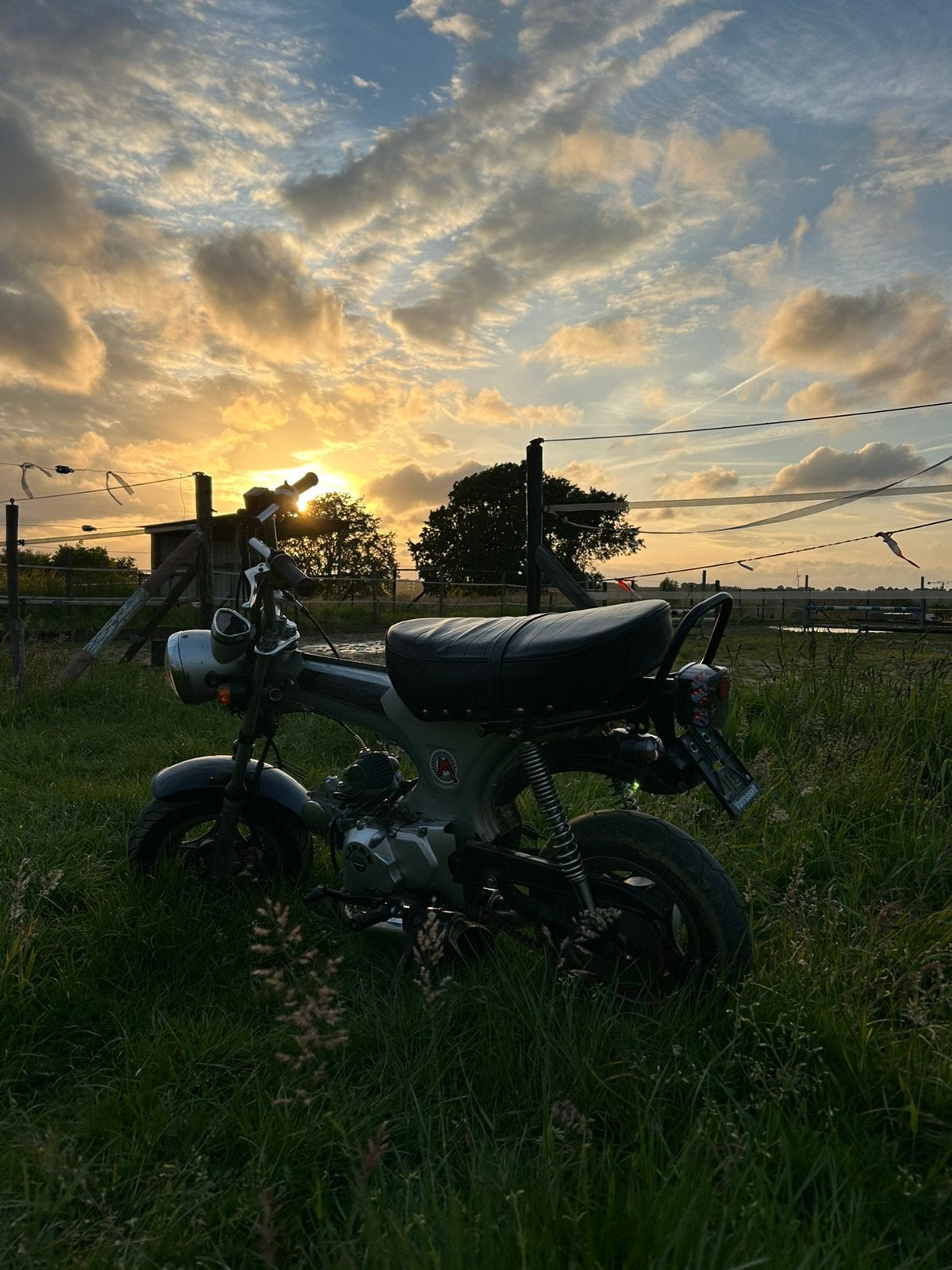 Dax te koop MET PAPIEREN, Autres modèles, 4 vitesses, 49 cm³, Classe B (45 km/h)