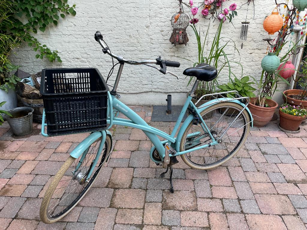 Fiets, Autres marques, Vitesses, Frein à rétropédalage, Enlèvement