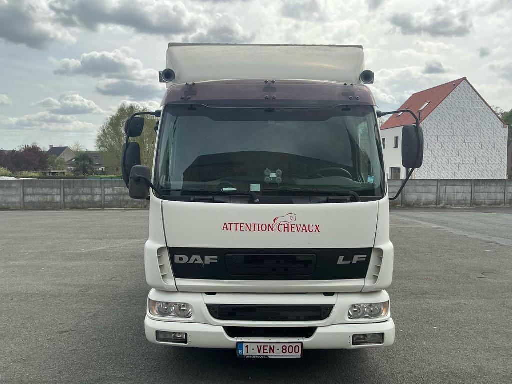 Transport hippomobile DAF LF45 2006, Autos, Achat, Entreprise, Autres carburants, DAF