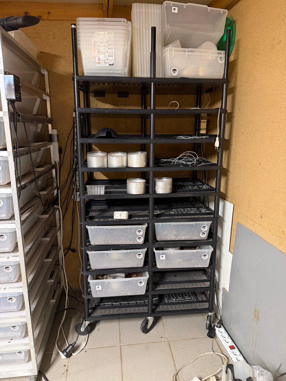 Rack, Dieren en Toebehoren