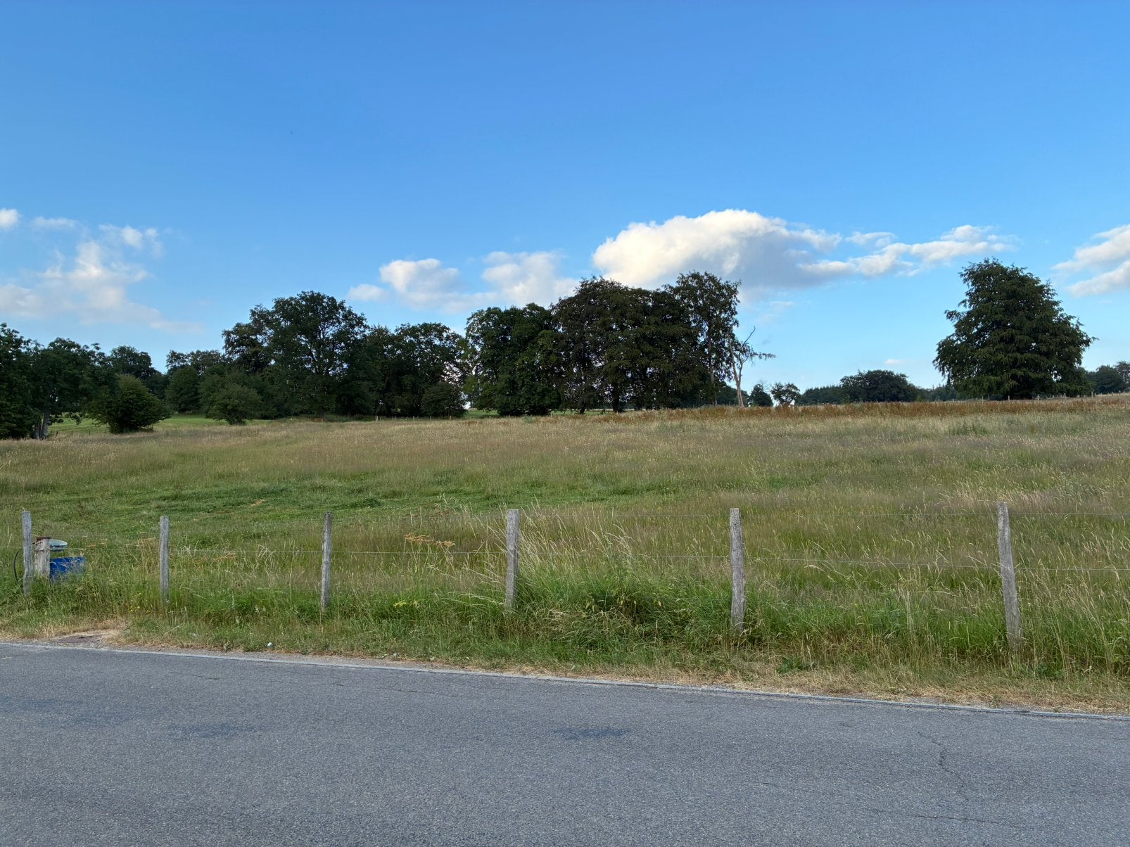 Prairie pour chevaux, Dieren en Toebehoren, Stalling en Weidegang