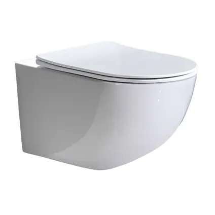 Hangtoilet Victoria + softclose rolluik, Ophalen, Nieuw