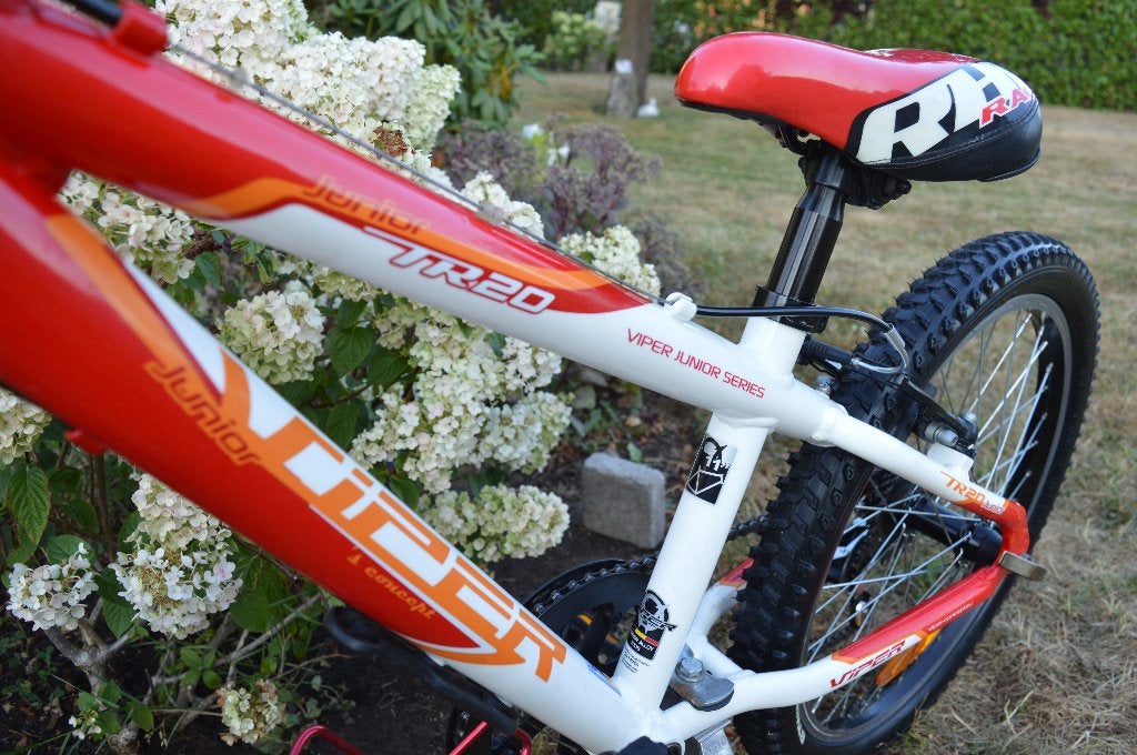 Vélo 20 pouces (6-9a) Impeccable!, Enlèvement, Comme neuf