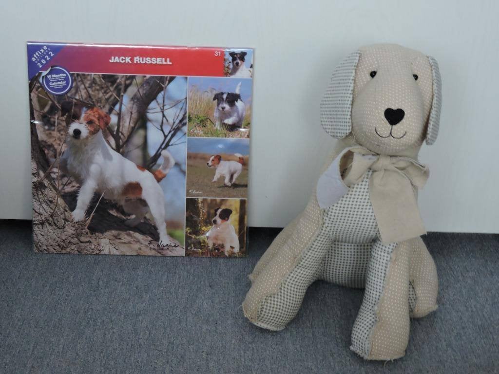 Calendrier Jack Russel 2022 NEUF sous cello, Divers, Calendriers, Enlèvement ou Envoi, Calendrier mensuel, Neuf