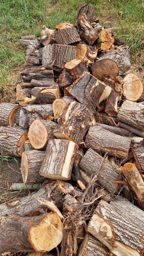 Brandhout 40 euro per cube., 3 tot 6 m³, Ophalen, Overige houtsoorten, Blokken