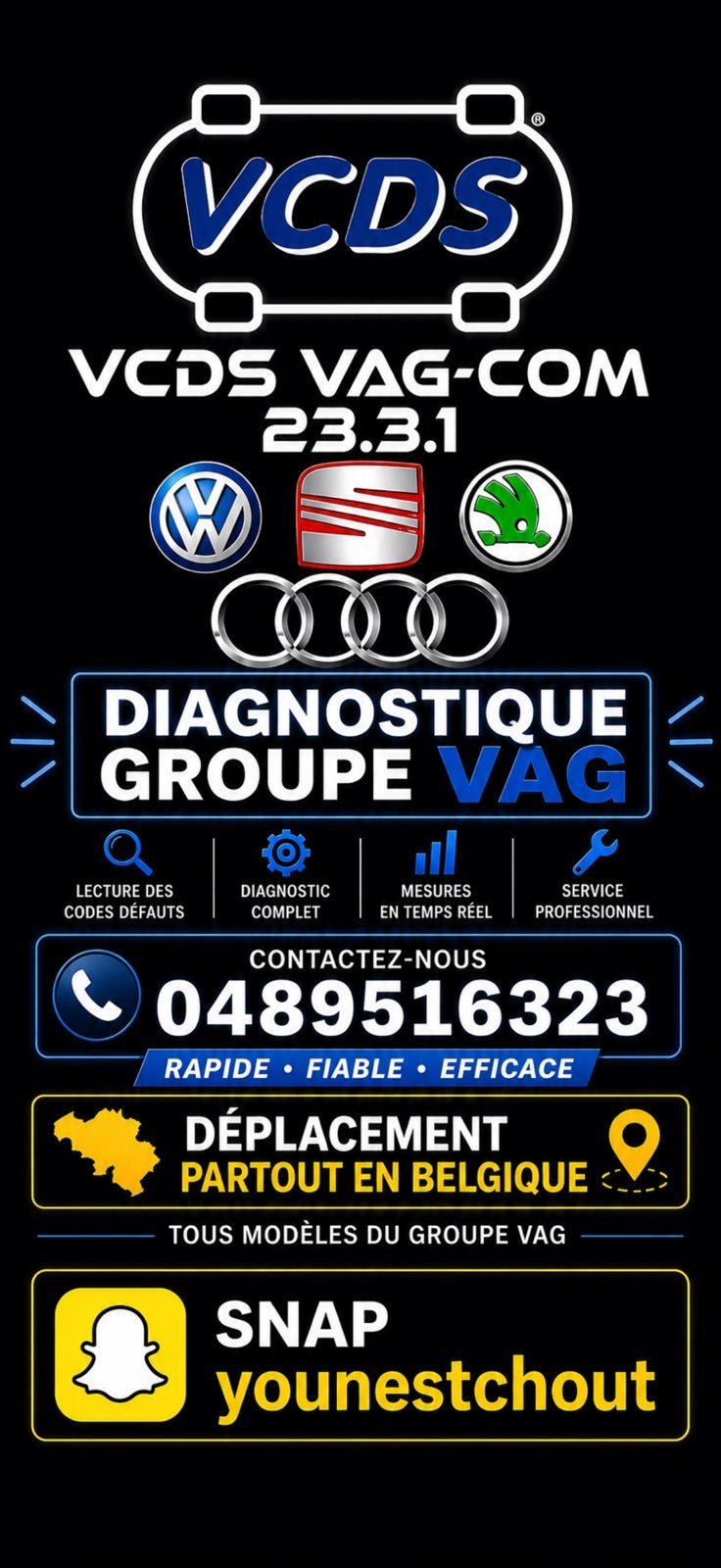 Diagnostique professionel pour groupe vag, Enlèvement, Comme neuf