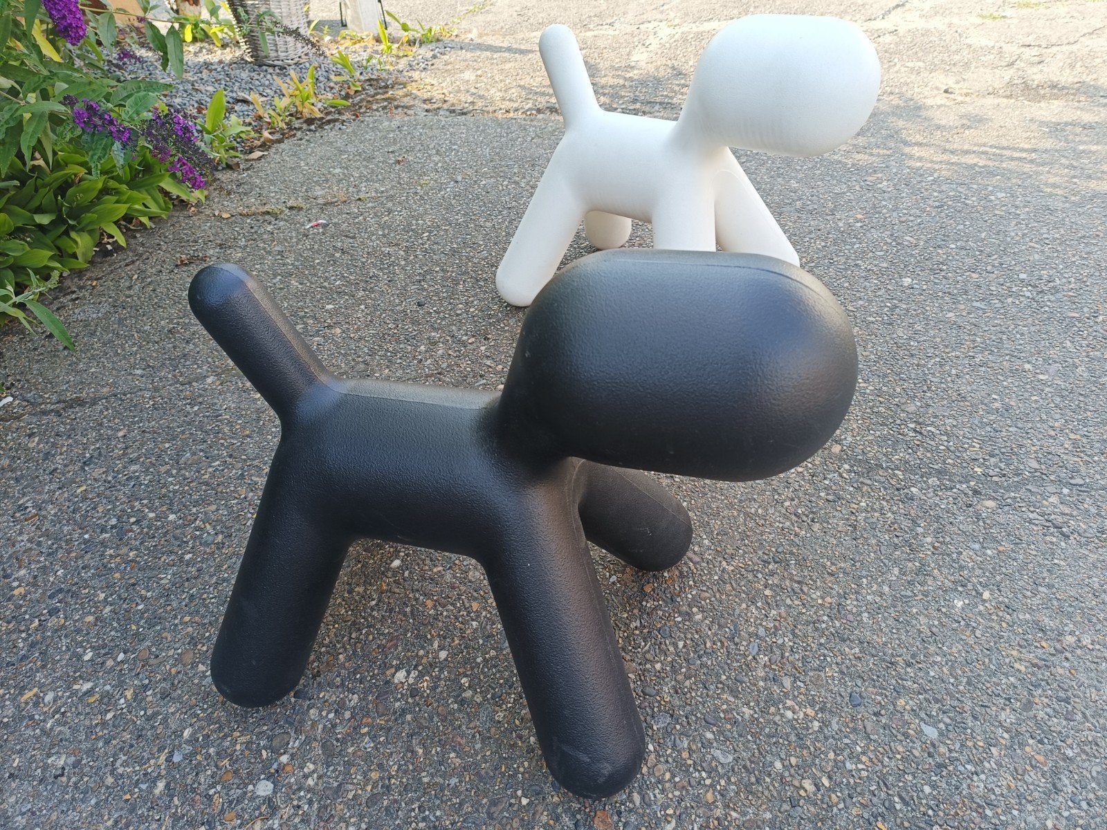 puppy me too magis, Enlèvement