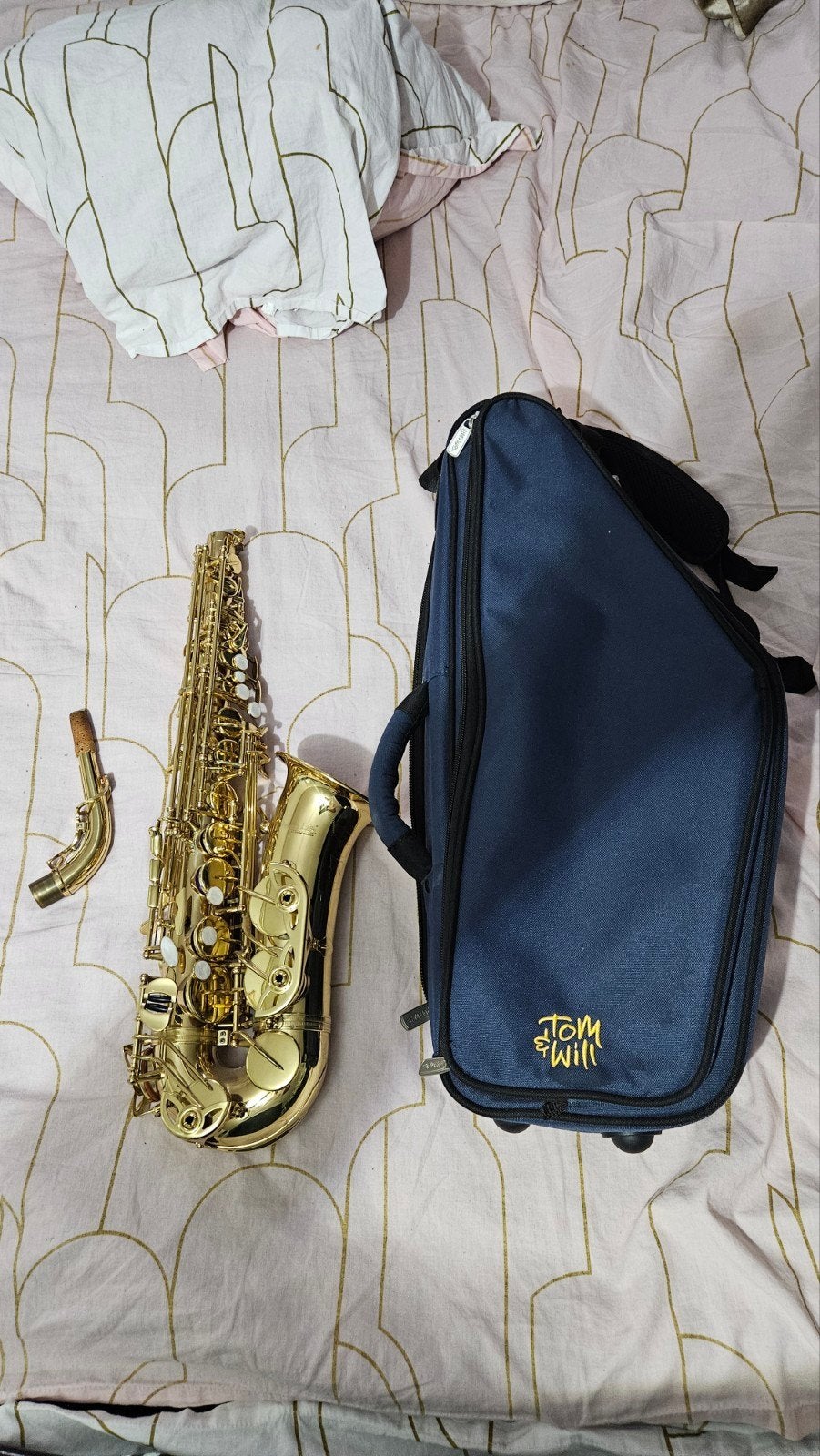 Saxophone alto, Enlèvement, Comme neuf, Alto, Avec valise