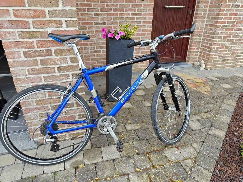fiets, Vélos & Vélomoteurs, Vélos | Hommes | Vélos pour homme, Vitesses, Frein sur jante, Batavus, Enlèvement