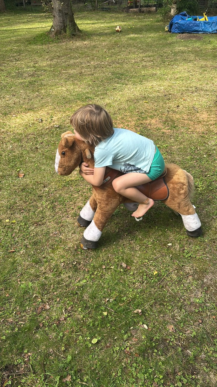 Cheval, Enlèvement, Comme neuf