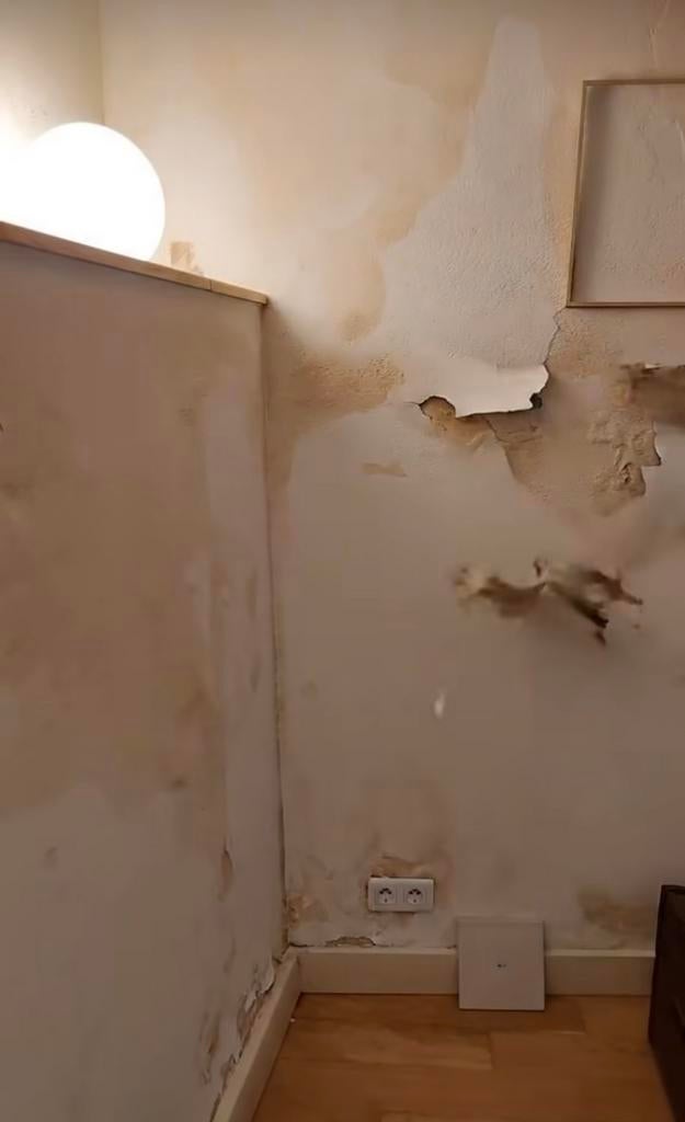 Renovation - Traitement Humidité, Enlèvement ou Envoi