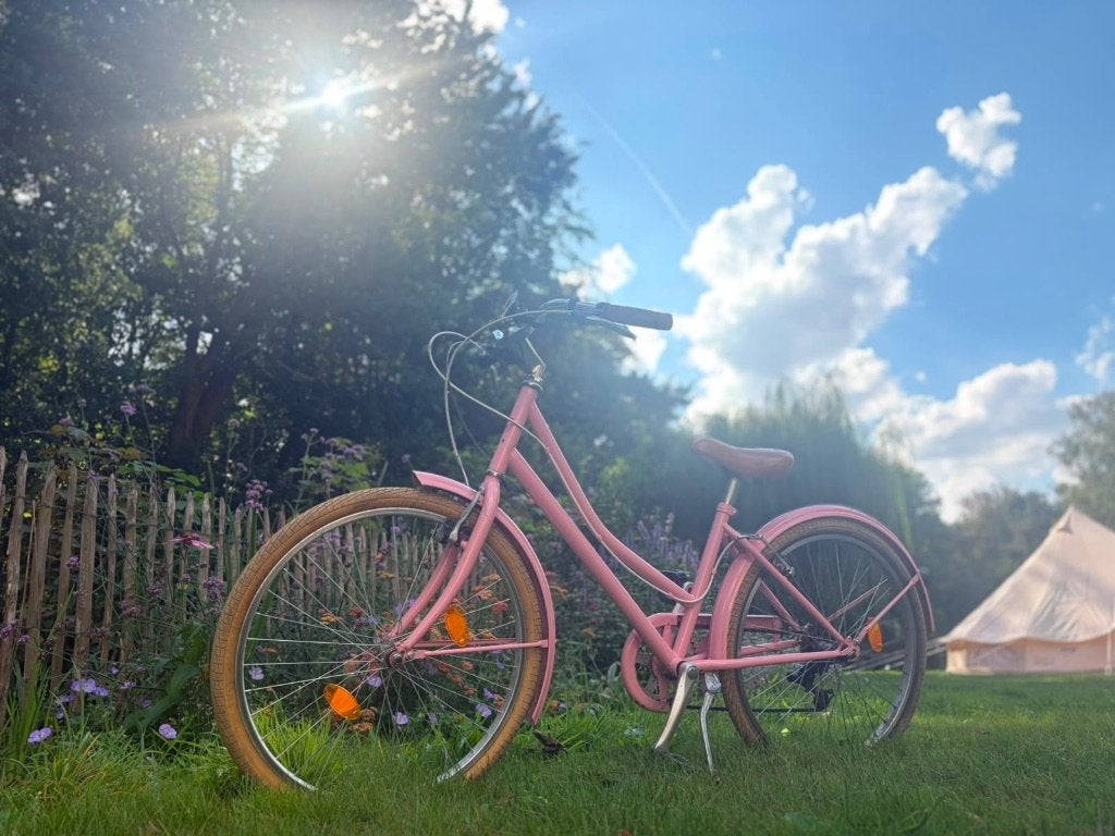 Roze meisjesfiets Capri Victoria 24 inch (8-11j), Ophalen, Velgrem, Capri, Handrem