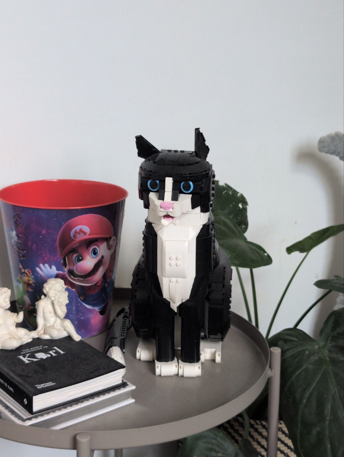 Lego kat, Ophalen