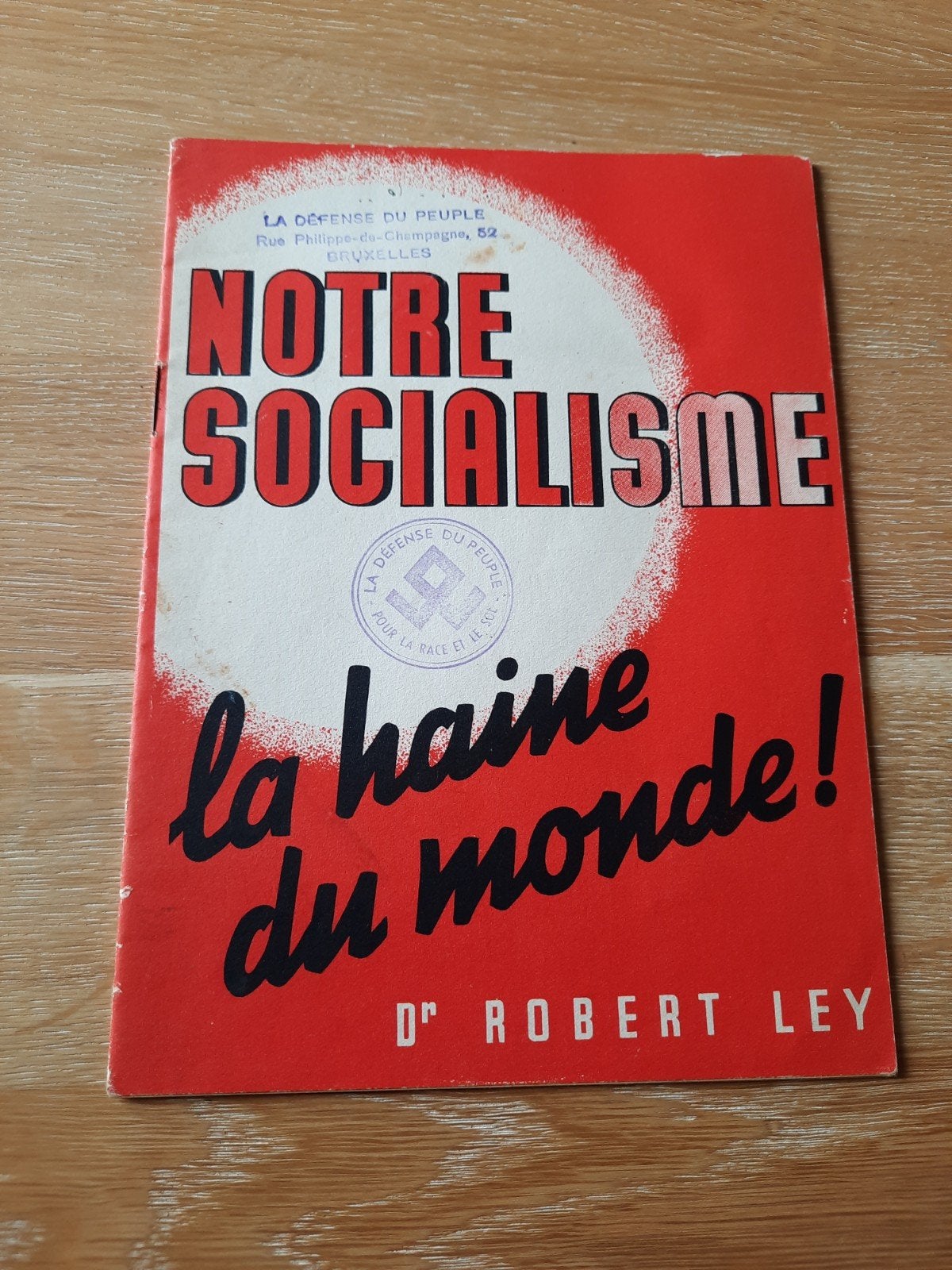 Notre socialisme, la haine du monde ! Livre de propagande, Livres, Enlèvement ou Envoi