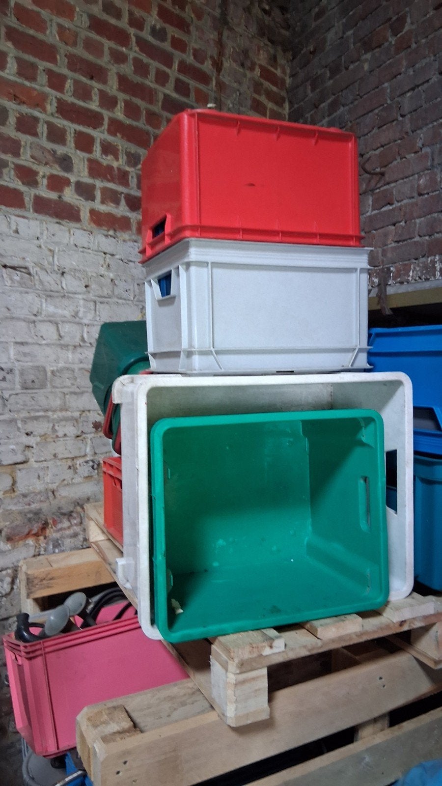 Curver box, Enlèvement, Utilisé