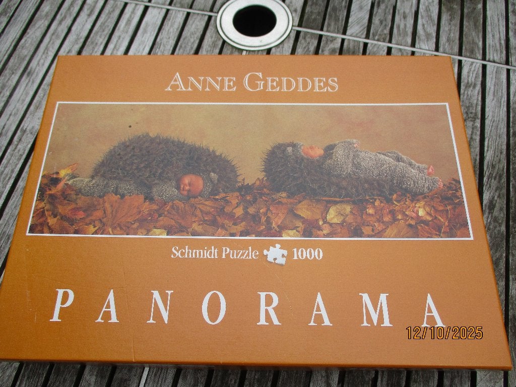 Puzzel Anne Geddes 1000 stukjes ( Schmidt ) nooit gemaakt!, Ophalen of Verzenden, 500 t/m 1500 stukjes, Nieuw, Legpuzzel
