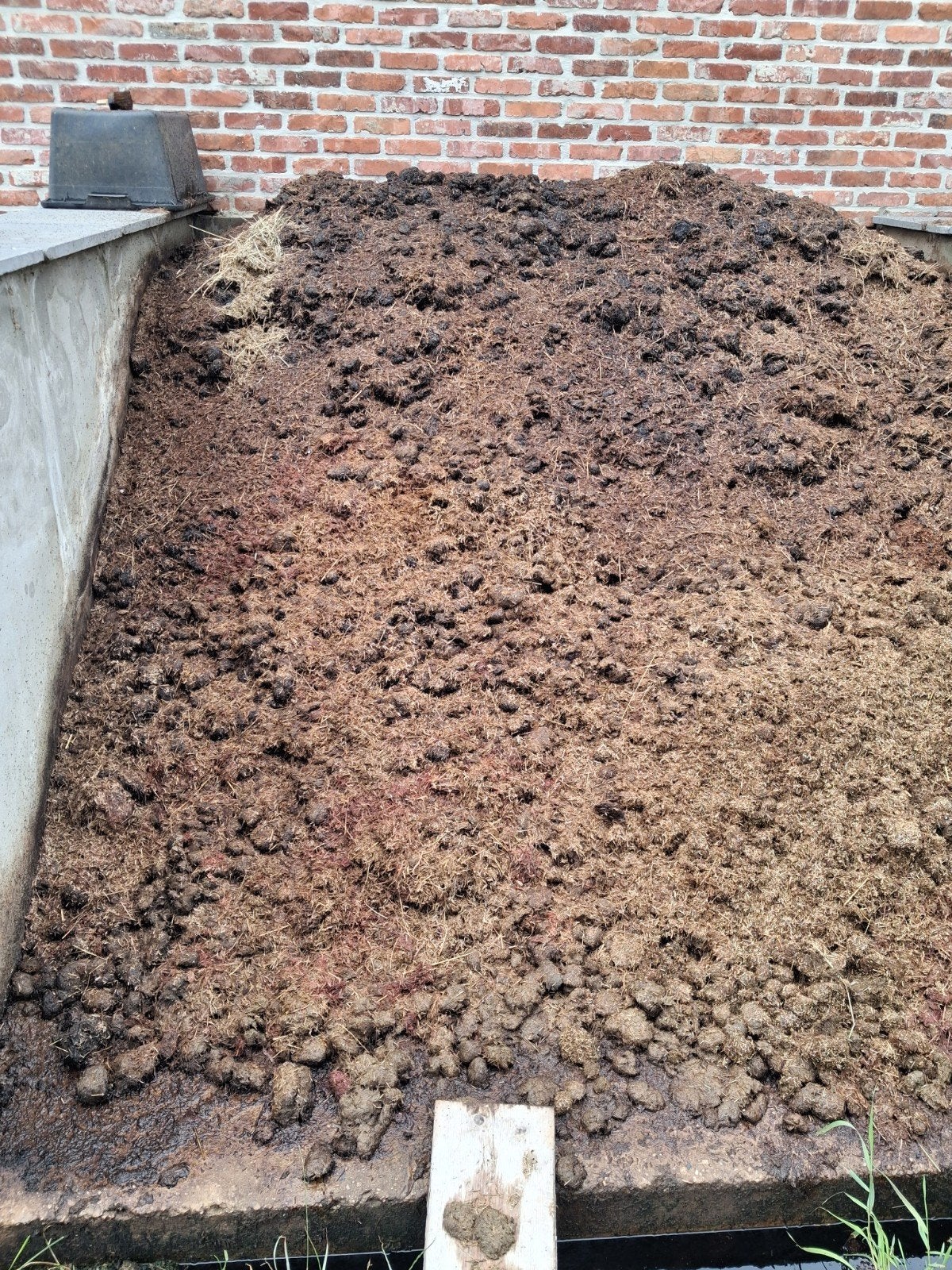 GRATIS paardenmest zonder hooi of stro, Jardin & Terrasse, Terre & Fumier, Enlèvement