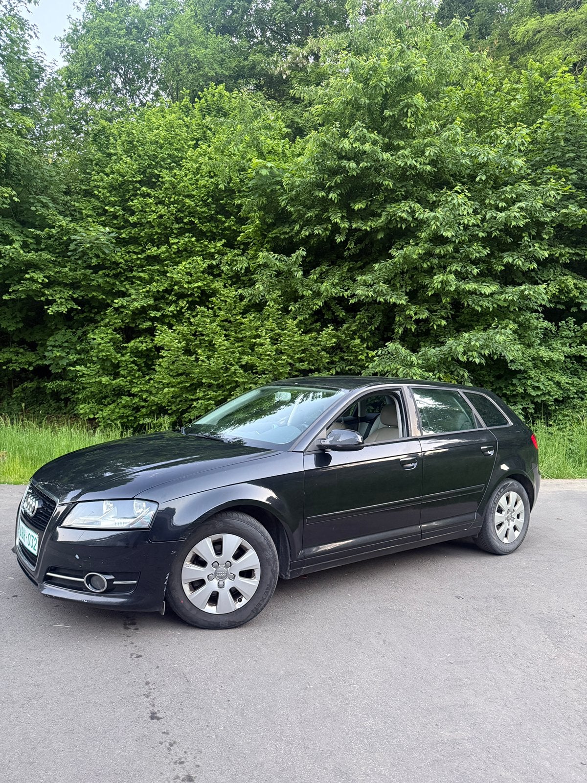 Audi a3 1.6TDI 77 kW 105 pk, Bedrijf, Te koop, A3