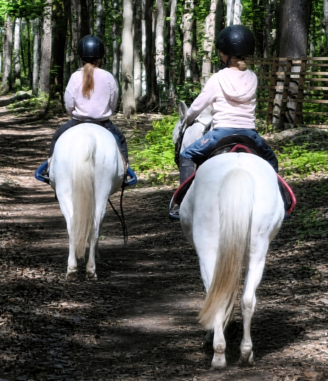 bruikleen pony gezocht, Jument, B, Avec puce électronique