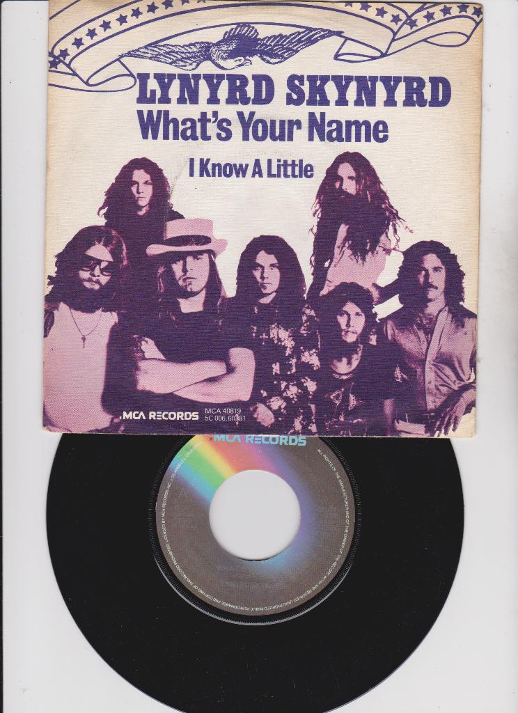 Lynyrd Skynyrd – What's Your Name   1977, Enlèvement ou Envoi, Single, Comme neuf, 7 pouces