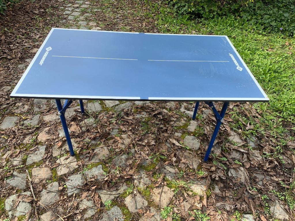 Petite table de ping pong/tennis de table, Sports & Fitness, Ping-pong, Enlèvement, Utilisé, Table d'intérieur, Pliante
